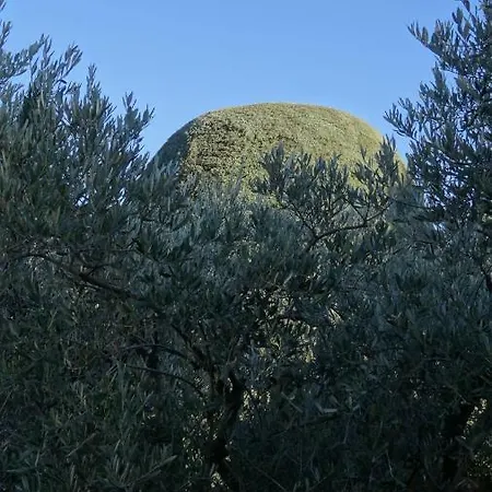 D'hote Anais Eyguières