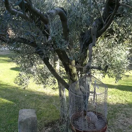 D'hote Anais Panzió